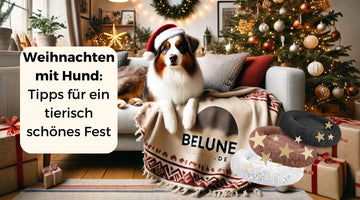 Weihnachten mit Hund: Tipps für ein tierisch schönes Fest