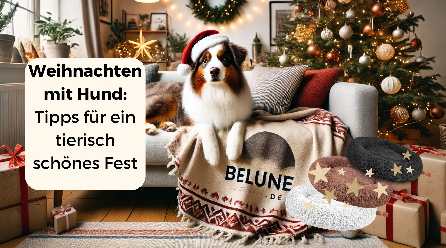 Weihnachten mit Hund: Tipps für ein tierisch schönes Fest