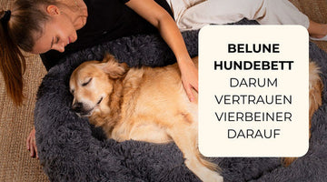 Unser deutschlandweit beliebtes Hundebett – ideal für das ganze Jahr