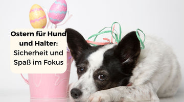 Ostern für Hund und Halter: Sicherheit und Spaß im Fokus