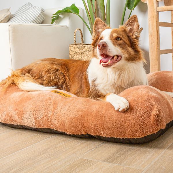 Belune Hundekissen - Deluxe