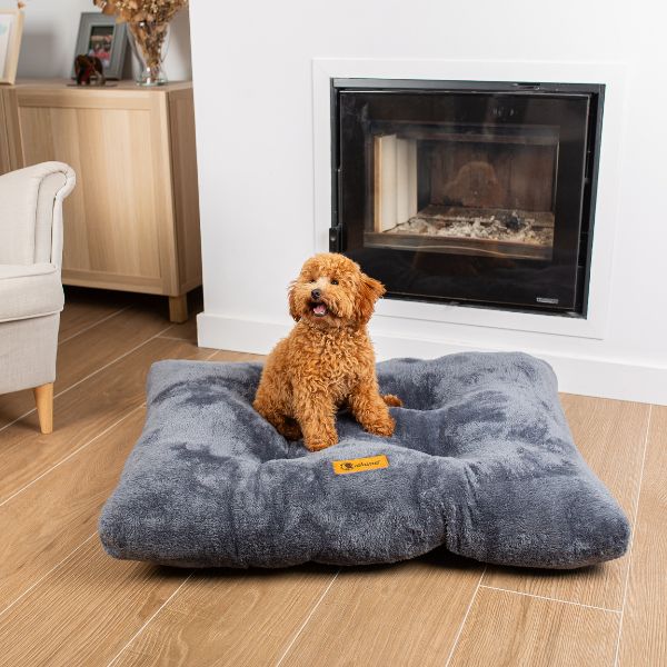 Belune Hundekissen - Deluxe