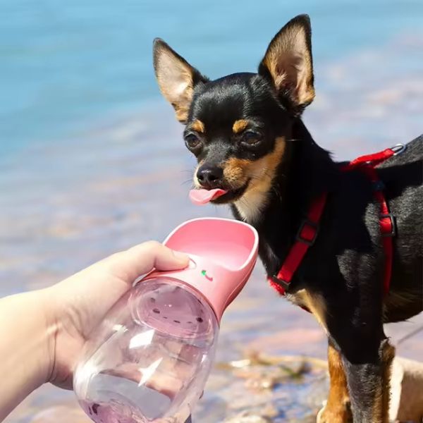 hunde trinkflasche Hunde Trinkflasche inkl. Futterbehälter