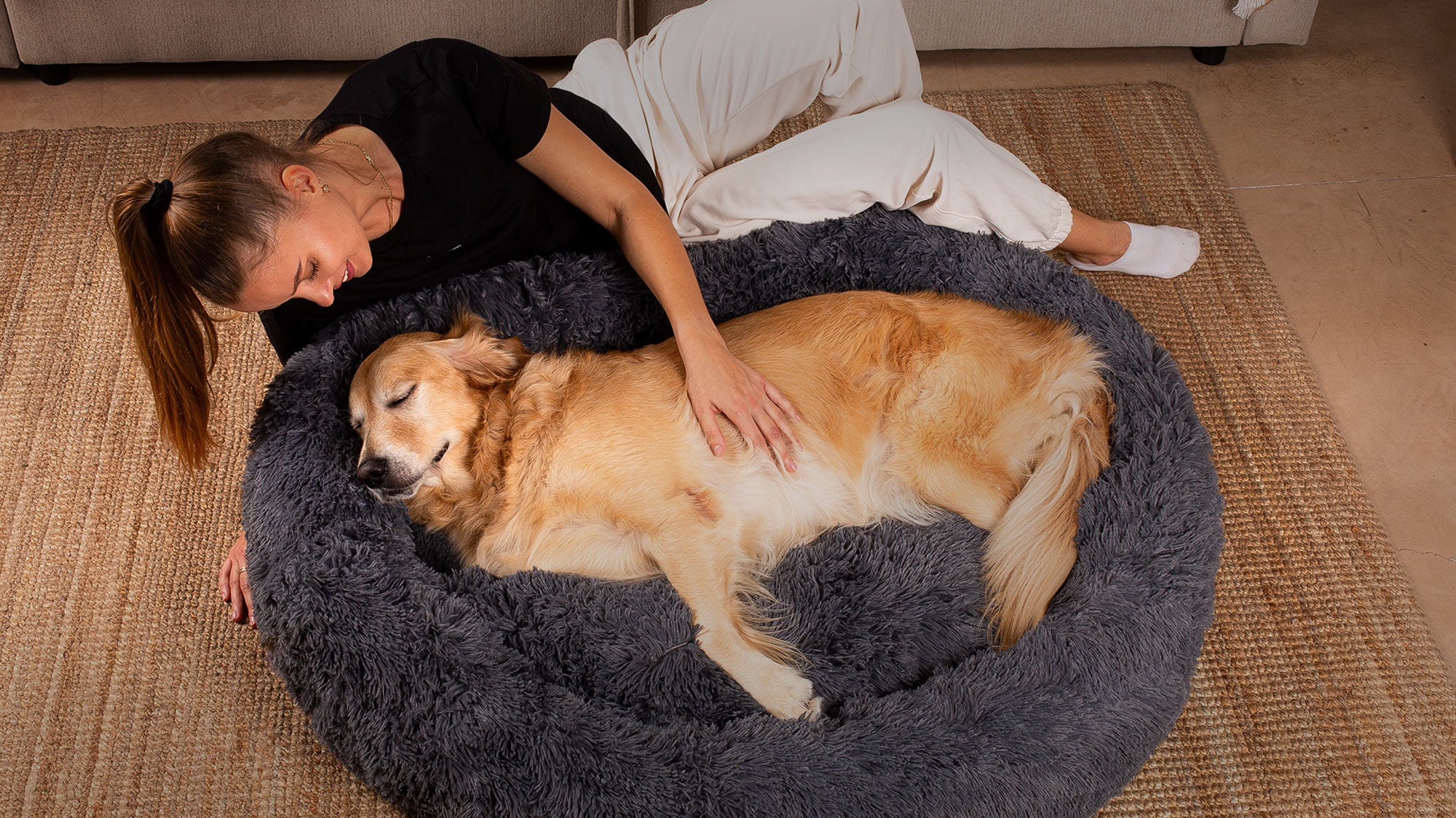 Roblue Hundebett In Jurten-Form, Faltbar, Waschbar – Für Hunde & Katzen, Größen S Bis XL, Mit Teppich