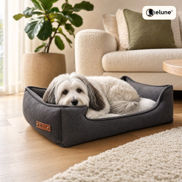 Belune® Orthopädisches Hundebett Comfort *NEU*